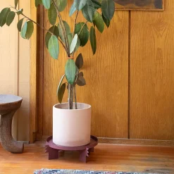 Reed Multipurpose Plant Stand