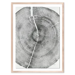 Rock Canyon Pine Framed Wall Art by Erik Linton