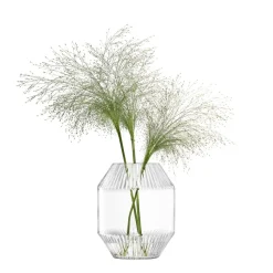 Rotunda Glass Vase