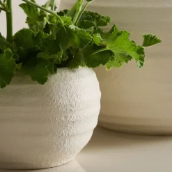 Rounded Ceramic Fluted Tabletop Planters