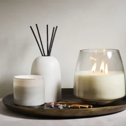 Rove Homescent Collection - Hidden Habitat