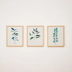 Ruscus, Curry Tree & Magnolia Framed Wall Art by Minted for West Elm