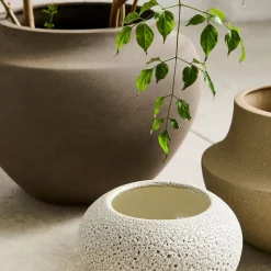 Sahar Planters