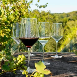 Schott Zwiesel Pure Crystal Wine Glasses (Set of 6)