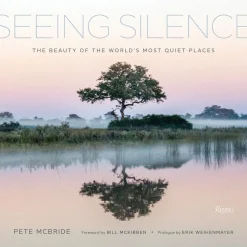 Seeing Silence