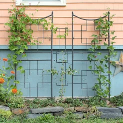 Square Iron Trellis