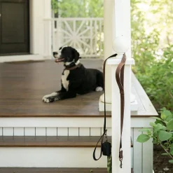 Steele Canvas Dog Leash & Poop Bag Holder