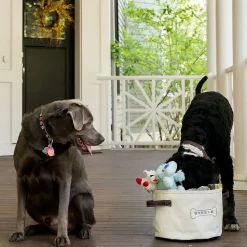 Steele Canvas Dog Toy Basket