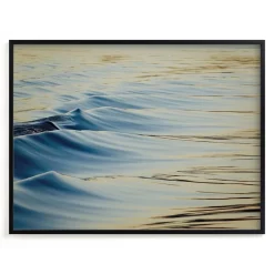 Sunset Zen Framed Wall Art by Minted for West Elm