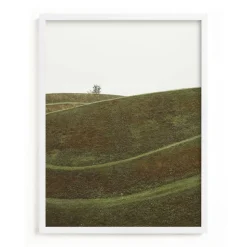 "Swoop" Framed Art by Minted for West Elm