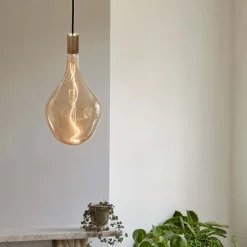 Tala Wood Pendant w/Voronoi III Bulb