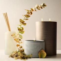 Terra Homescent Collection - Seagrass Mist