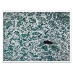 The Life Of Water Framed Wall Art by Shawn Thomas