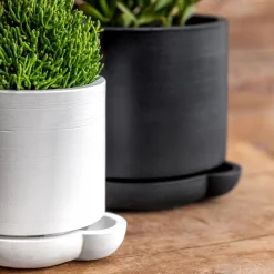 The Simple Self-Watering Pot
