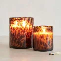 Tortoise Glass Candles - Tonka & Sandalwood