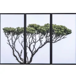 Tree of Life Framed Wall Art