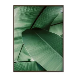 Tropical Leaves Framed Wall Art by Minted for West Elm