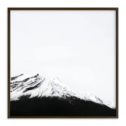 True North Framed Wall Art by Minted for West Elm