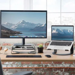 Twelve South Curved Monitor Stand