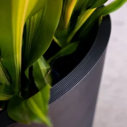 Veradek Curve Grooved Indoor/Outdoor Planter