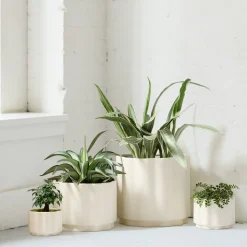 Wavy Ceramic Planters
