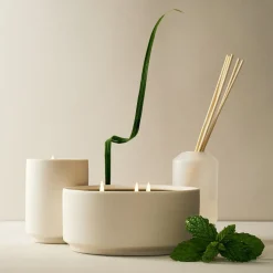 West Elm Homescent Collection - Mint Tea