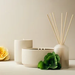 West Elm Homescent Collection - Rosewater