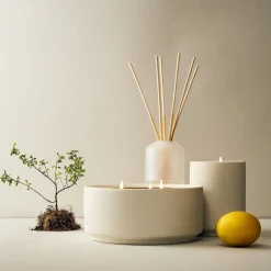 West Elm Homescent Collection - Citrus Pine