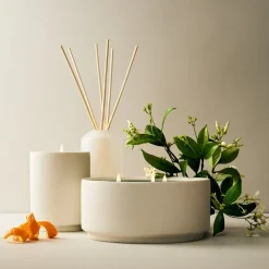West Elm Homescent Collection - Jasmine & Lily