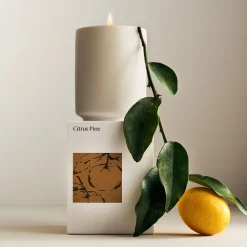 West Elm Homescent Single Wick Candle - Citrus Pine
