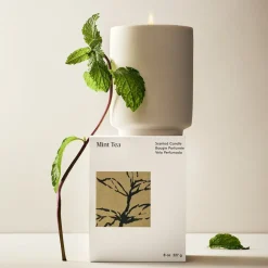 West Elm Homescent Single Wick Candle - Mint Tea