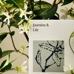 West Elm Homescent Single Wick Candle - Jasmine & Lily