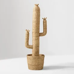 Woven Cactus
